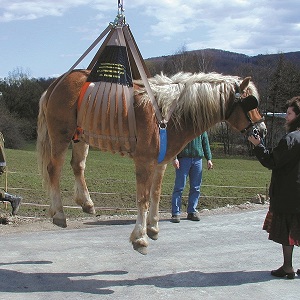 Veterinarians Equi-lift